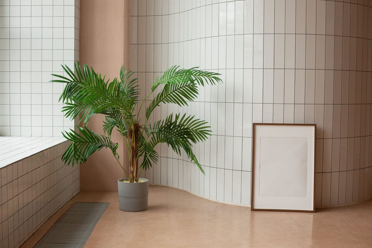 A large floor plant in a big pot standing in a room corner