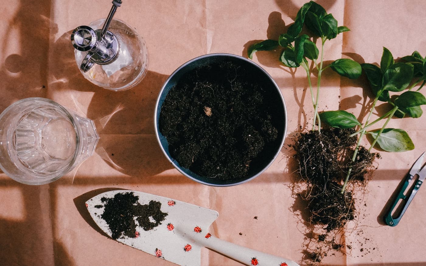 A glass watering globe standing in the soil of a potted plant